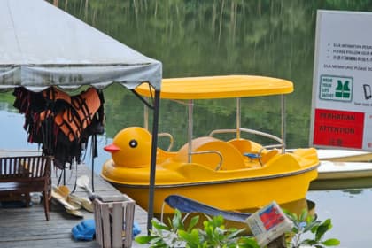 Uncle Wong Happy Farm